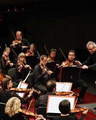 John Violinist